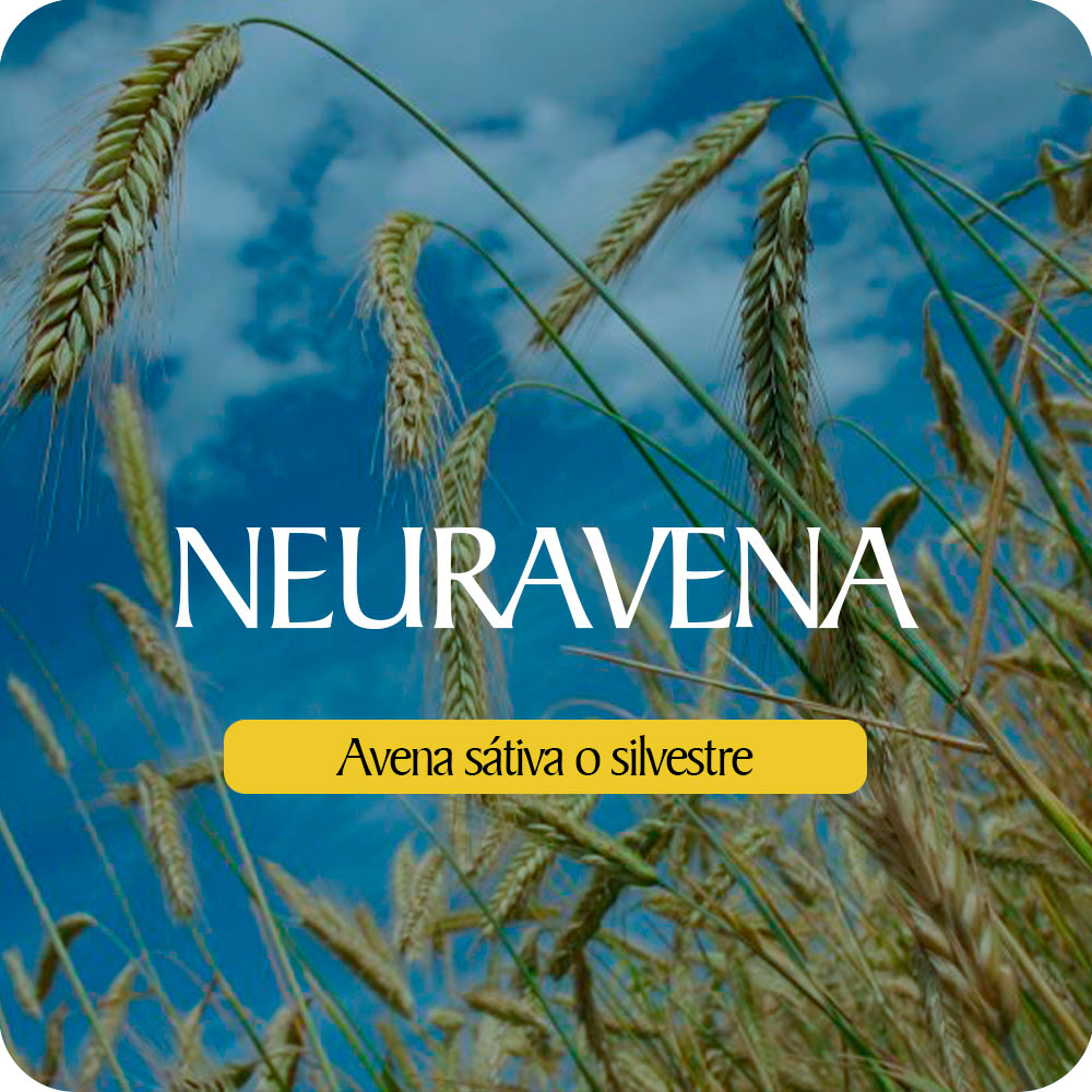 Neuravena